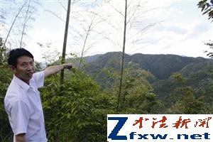 浙江千亩集体山场疑遭贱卖 7600元承包40年 