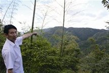 7600元承包40年！浙江丽水千亩集体山场疑遭贱卖