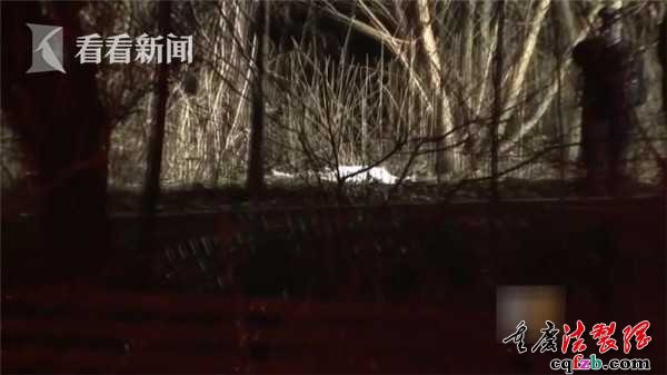 美国一公园惊现人彘:女尸裸体遭肢解 无手无脚