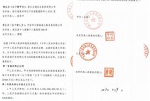 法学专家:石家庄乐城公司法人林乐平被控挪用资金罪、职务侵占罪证据不足