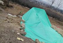 有钱就嚣张任性？！原上市公司董事长强占耕地葬母，还棒打村民