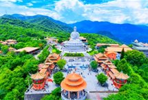 毁林千亩、维权廿载：一座民营国家级森林公园的生态之殇